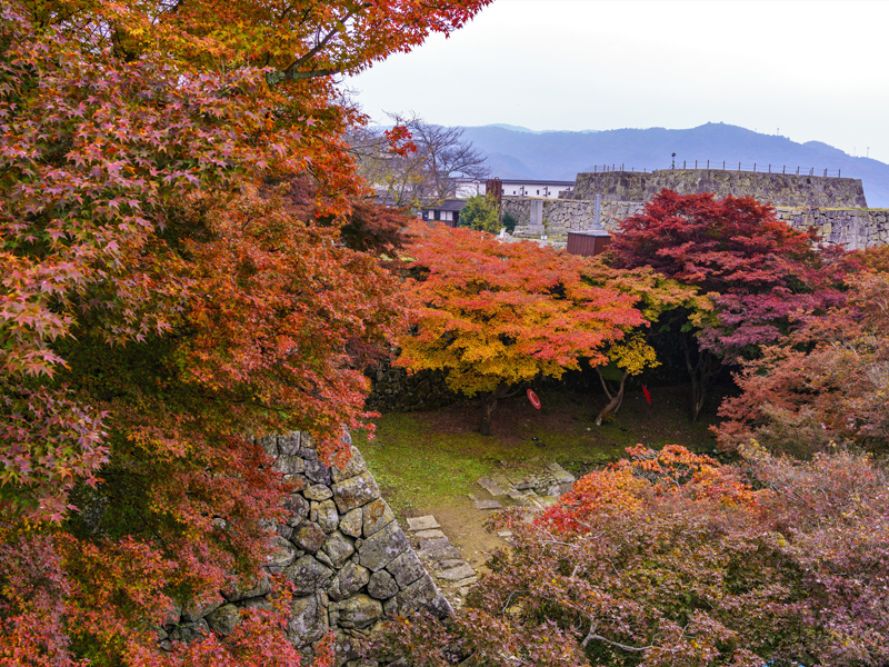 行楽の秋、津山周辺で愉しむ紅葉シーズン