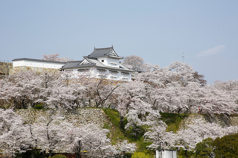 「日本の城ランキングTop20」に津山城が選ばれました