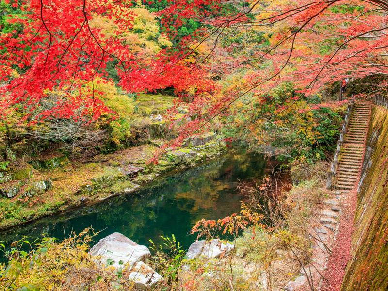 行楽の秋、津山周辺で愉しむ紅葉シーズン