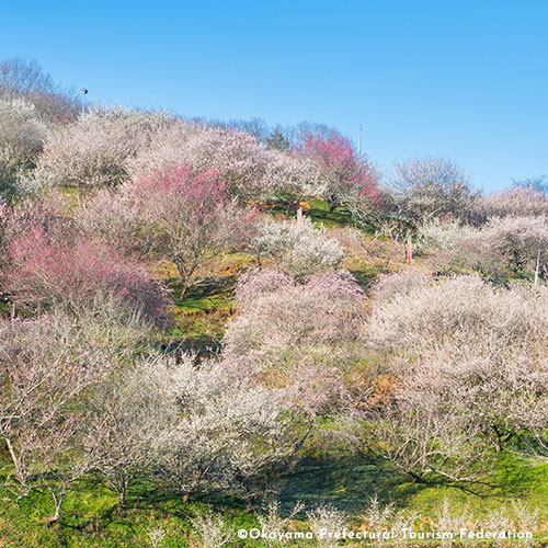 Ume no Sato Park