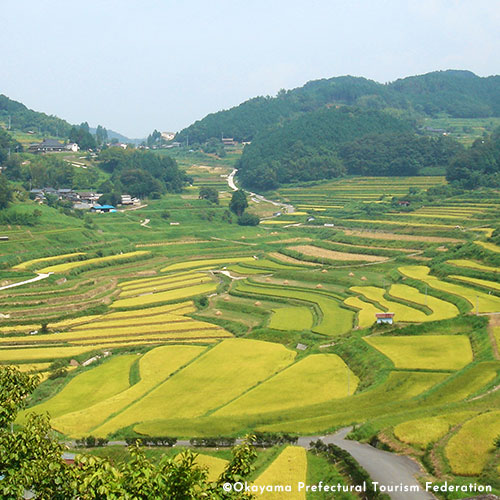 Ohaga-nishi Terraced Rice Fields