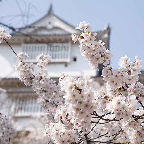 Kakuzan Park (Tsuyama Castle Ruins)