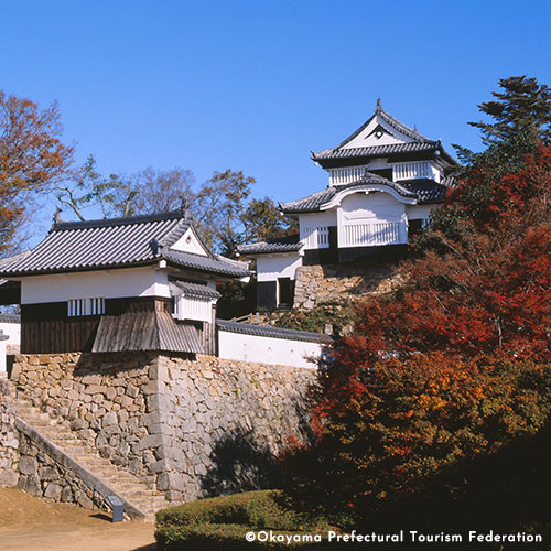 Bichu Matsuyama Castle