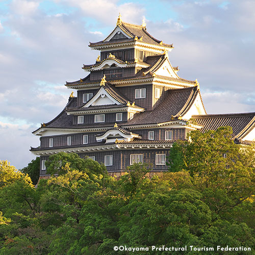 Okayama Castle