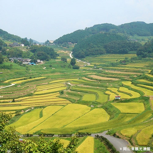 大垪和西の棚田