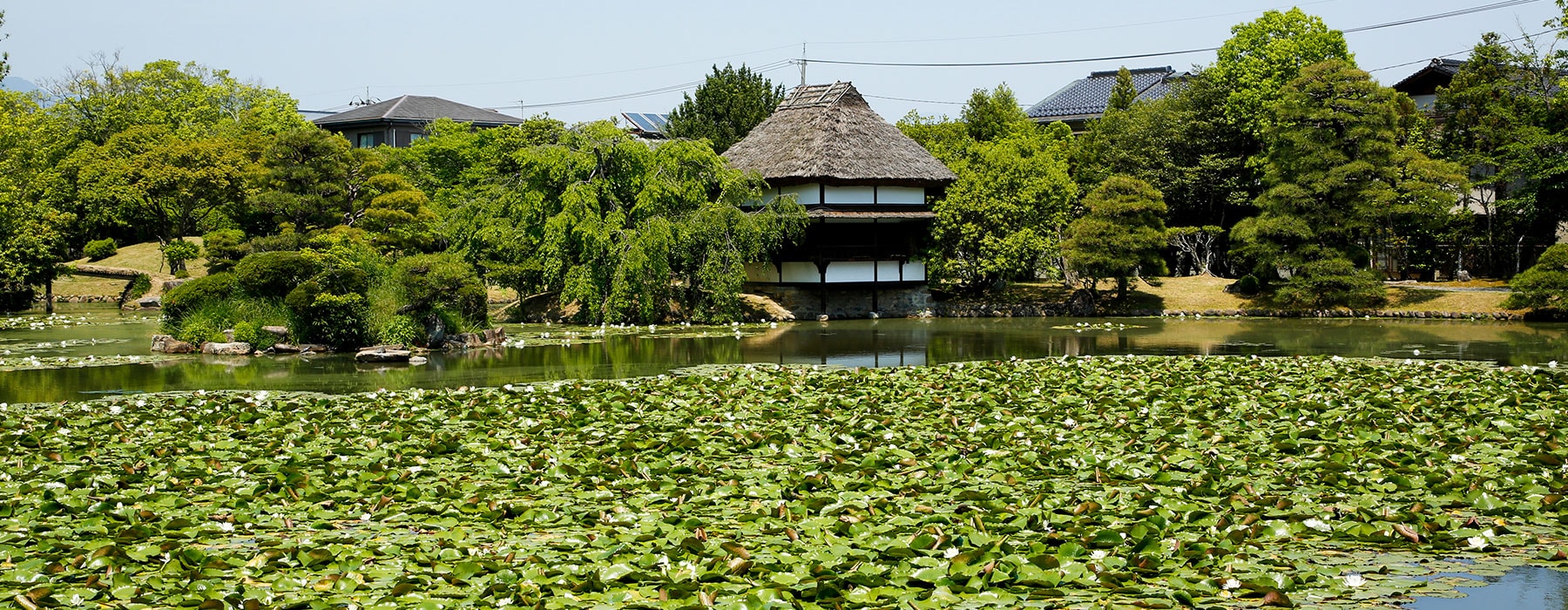 周辺探索（庭園・自然）の画像