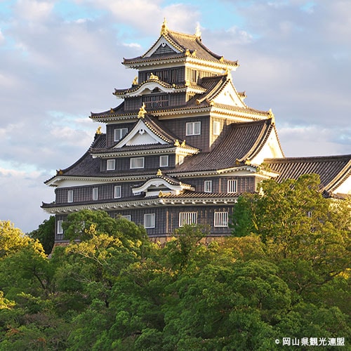 岡山城