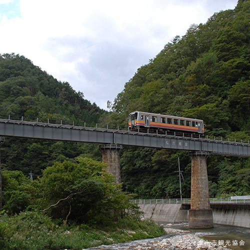 松ボウキ橋梁